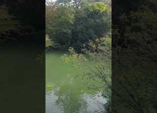 اینجاست که اهنگ اریانا سعید عزیز که میگوید میگن پاریس عروس دنیاست واقعا زیباترین شهر دنیاست