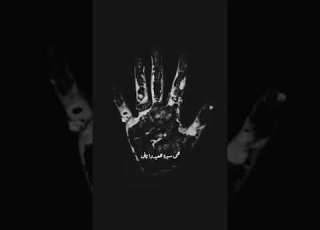 حالات واتس روح بقا ولا انت فاضى
