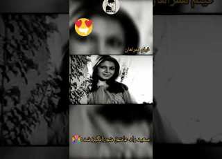 عشق سعید راد به شورانگیز فیلم همراهان