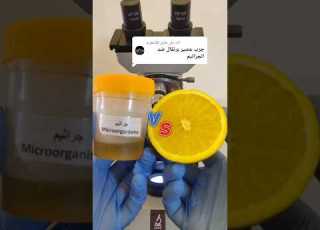 عصير البرتقال ضد الجراثيم Orangejuice Vs Microorganisms Teamkhalook
