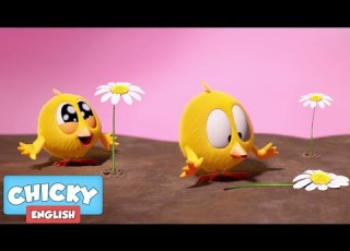  Where S Chicky Funny Chicky 2021 NEW 1 HOUR FLOWER POWER Chicky Cartoon In English For Kids