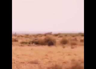  صباح البر