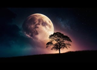  Love Waves Deep Healing Music For The Body Soul Ethereal Meditative Ambient Music