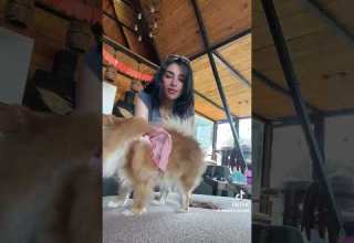 انا قولت قعدين قعده