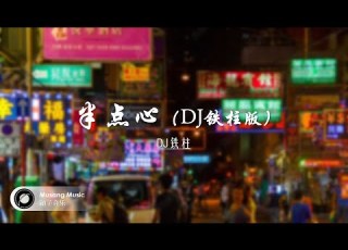 DJ铁柱 半点心 DJ铁柱版