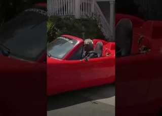 Hemp Built Car A Greener Future For Eco Friendly Vehicles DW News