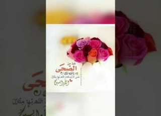  ما أجمل أن تركع ركعتين في زحمة العمل وانشغال الناس تكون من الأوابين والمتصدقين إنها صلاة الضحي