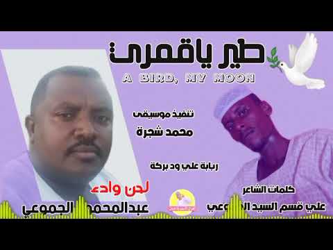 الفنان عبدالمحمود الجموعي طير ياقمري NEW 2023 الغزال الاسمر ودحسان الفنان عبدالمحمود الجموعي طير ياقمري NEW 2023 الغزال الاسمر ودحسان