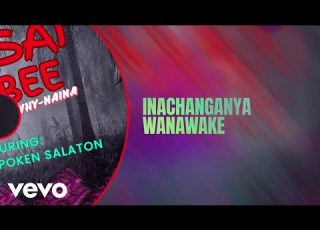 Why Naina Joefes Unspoken Salaton Maasai Bombee Official Lyric Video