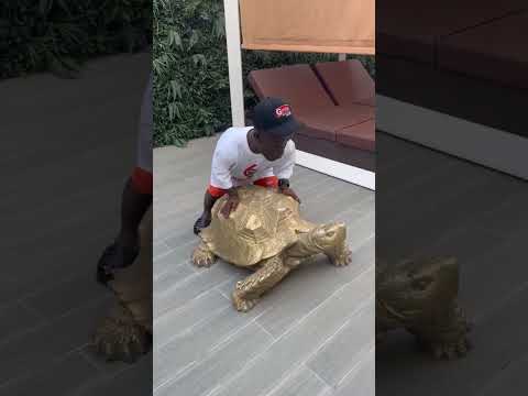 Regardo Brasil Portugal Angola Mozambique