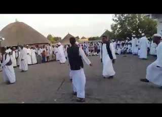القضارف ام شجره