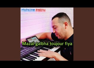  Mazal Galbha Toujour Fiya
