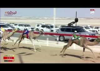 ش1 مطفية لـ عتيق مطر حسن القبيسي جائزة زايد الكبرى 26 11 2024م كأس الحقايق بكار مفتوح 5 45 22