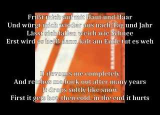 Rammstein Amour English German Lyrics