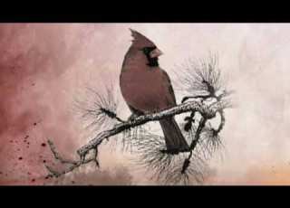 BBoy Blackfire Pesa Hainunui Maisha Official Audio
