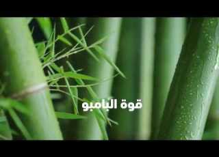 شعر اقوى بعشر مرات مع شامبو كلير الجديد