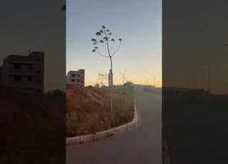 جديد تجزئة حلالة القنيطرة 2025 شهر 9