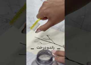 راندو درخت با آب