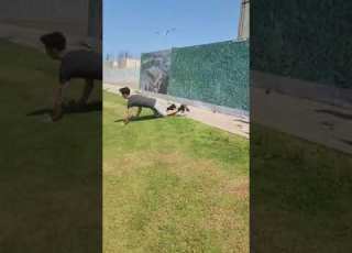 כשנגמרו לך הכדורים במחסנית קרב יריות