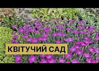 I Invite You To A Walk Through My Garden