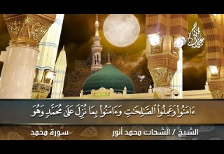 سورة محمد للقارئ الشيخ الشحات محمد أنور رحمه الله