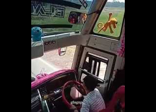 Lagi Viral Banget Bus TUNGGAL JAYA BLACK PINK OLENG