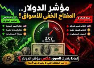 السر الذي يحرك الأسواق لماذا تتحرك الأسهم والبيتكوين ع مؤشر الدولار