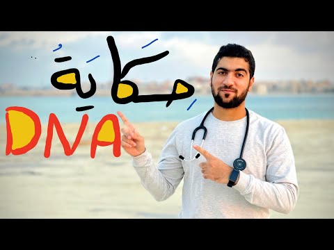 حكاية DNA 2022 كاملة في ساعة ونصف المراجعة النهائية الجوهرية أحياء ثانوية عامة حكاية DNA 2022 كاملة في ساعة ونصف المراجعة النهائية الجوهرية أحياء ثانوية عامة