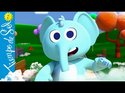 Dúo Tiempo De Sol El Baile De Los Animales