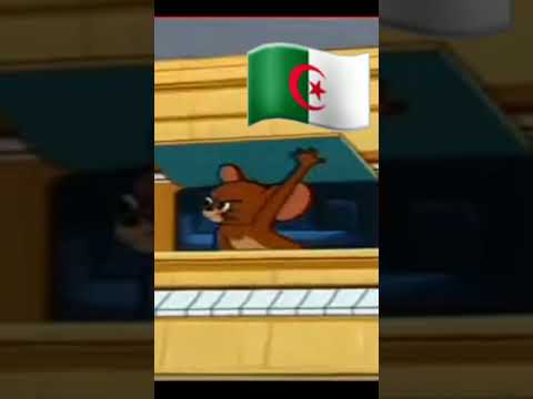 الجزائر قبل وفرنسا قبل