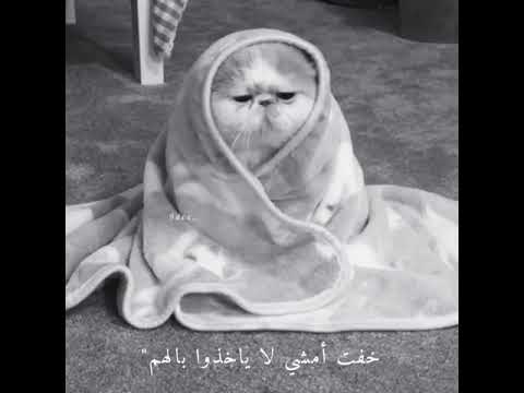 گآن نفسـي آهہرب مـن گلآمـهہمـ خفت آمـشـي لآيخذو بآلهہمـ