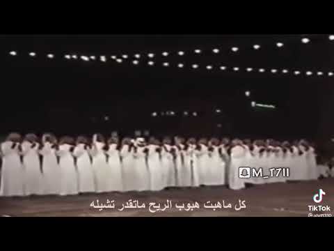 الجدار اليا بنيته جوده بقوا بلكه