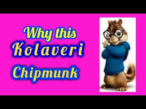 Why This Kolaveri Song Chipmunk Version