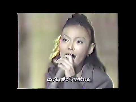 MAX Shinin On Shinin Love