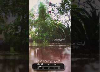  اشتقت لك تحت المطر أصالة نصري حالات واتس اب اشترك في القناة