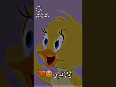 فطومه فطومه ايلافيو احبج احبج اموت عليك حبيبتي