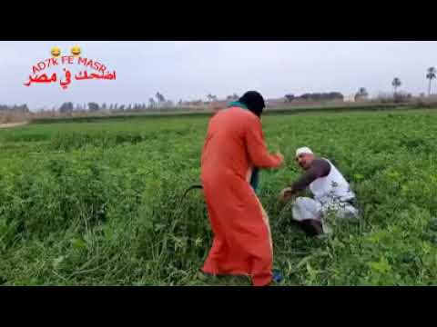 اضحك من قلب الحاج مسعود ومراته تفاحه