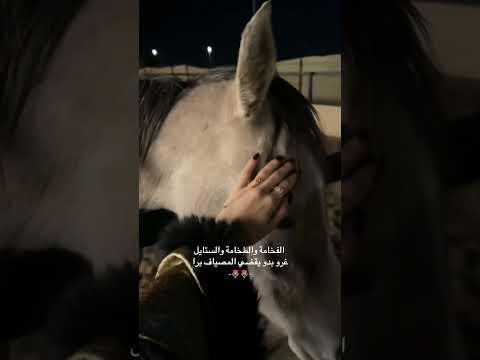 الفخامة والطخامة والستايل لايكك اشتراكك