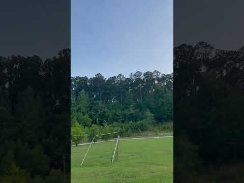 Noureen Naya Stetson Movie Sunset Https Ak Sv Movie 9287 نزوح