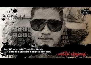  Ace Of Base All That She Wants DJ Marcus Extended Banghra Edit Mix