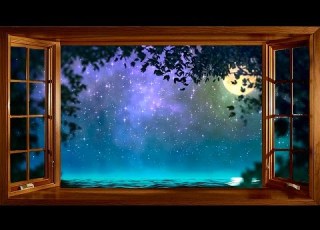  Son De Foret La Nuit 1 Heure Musique Pour Se Détendre Et Dormir