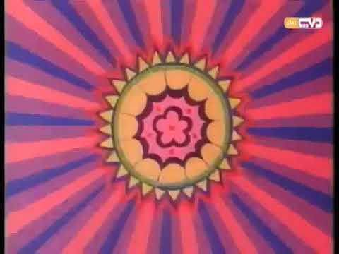 شارة ماركو الصغيرة