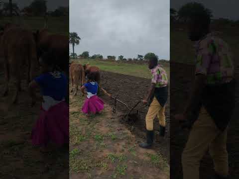 NYANDA KABUNDI AKIKATIKIWA UTACHEKA