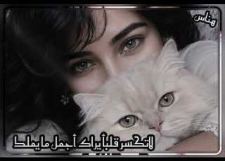  اجمل رنات هاتف 2026 اجمل نغمة رنين حب افضل نغمات رنين للهاتف حب 2026 نغمة رنين لجوال