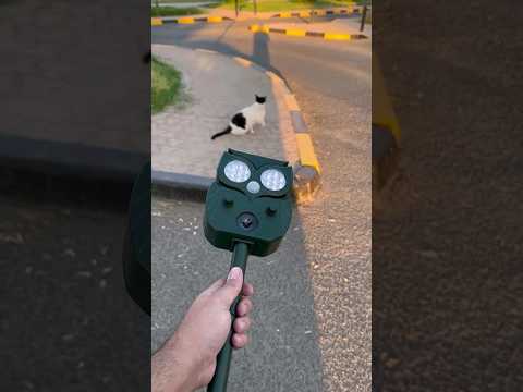 طارد القطط والكلاب والطيور اضغط اعجاب والاشتراك بالقناة