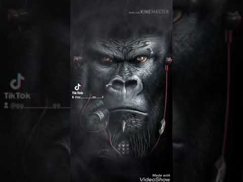 بحارب في ارض التعالب