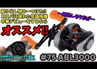 If You Want To Buy A Low Priced And Excellent Chinese Baitcasting Reel This Is It ABL3000