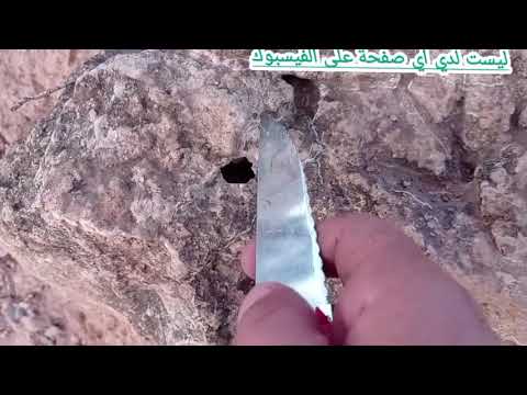 اسهل طريقة لتحليل الاشارات والوقوف على نقطة الصفر مع الاستاذ ابو الجرار