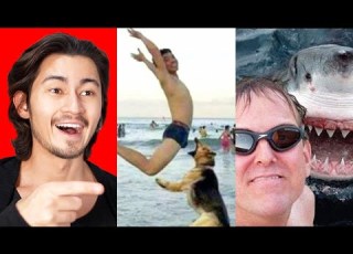 FUNNY TikTok S To Make Your Day Better