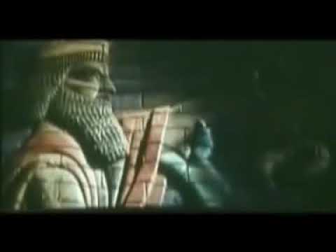 امیر آرام شتر بان Amir Aram Shotorban